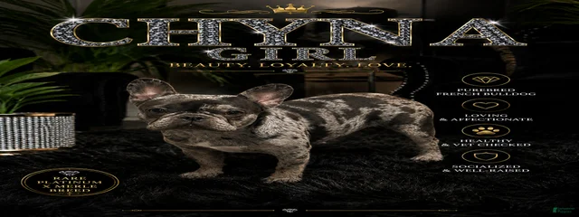 Chyna girl 