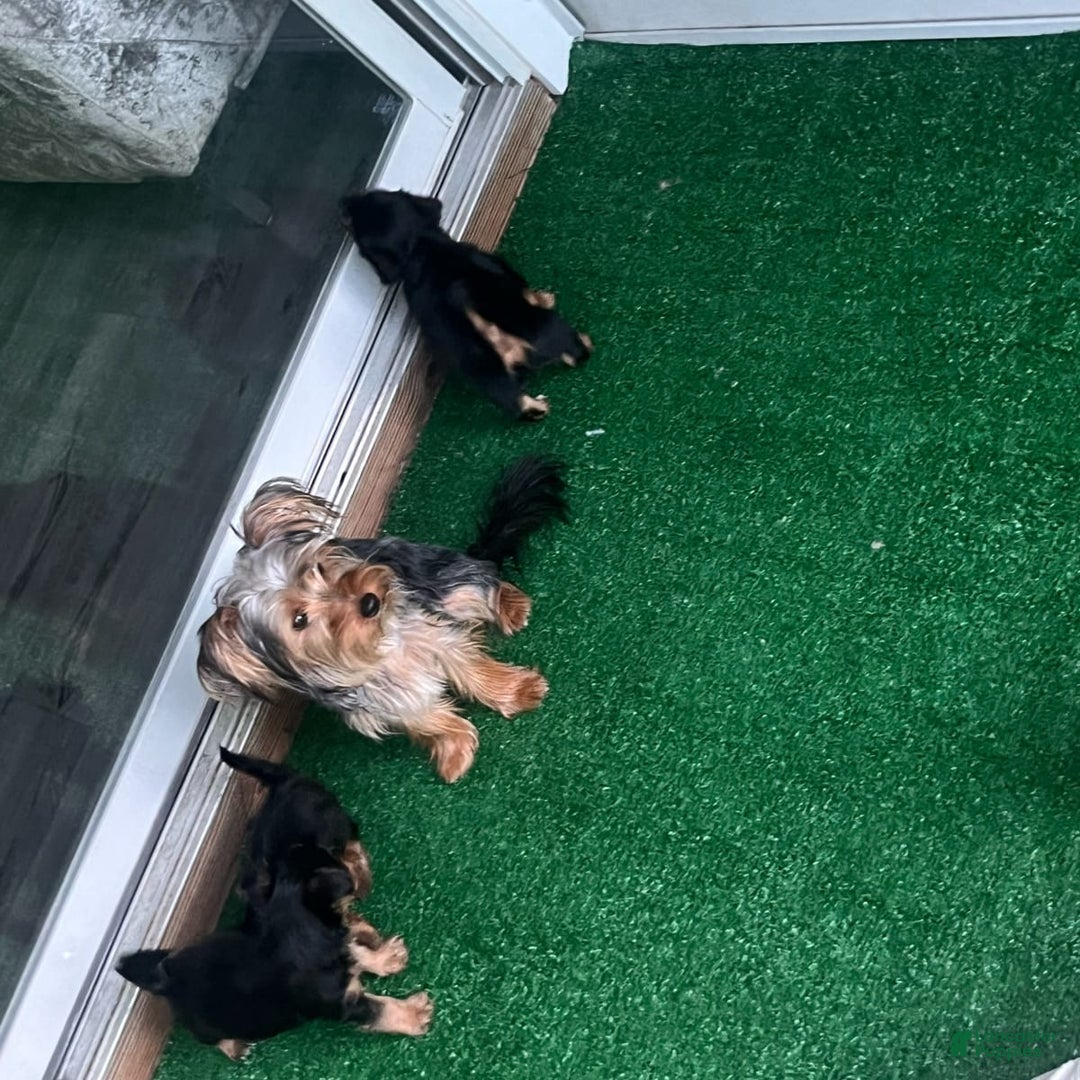 Gallery Image {{count}}