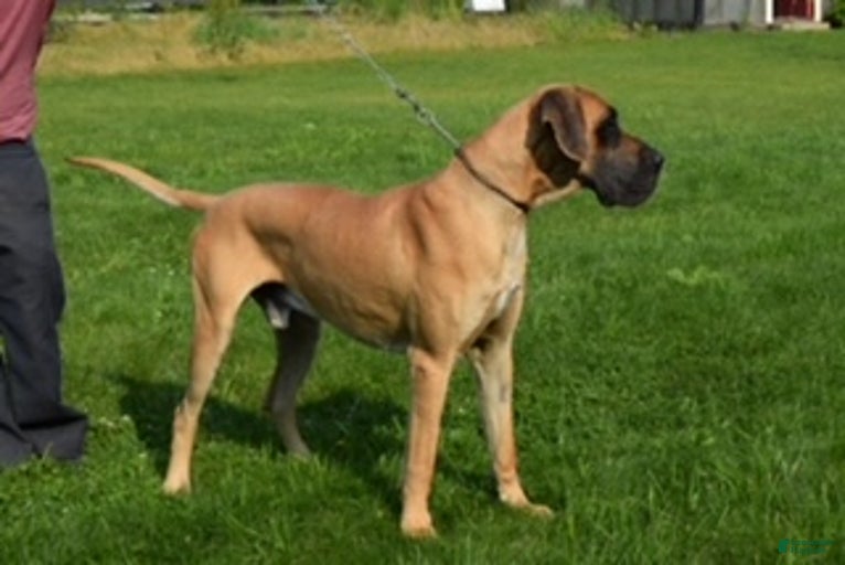 Gallery Image {{count}}