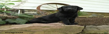 Edge