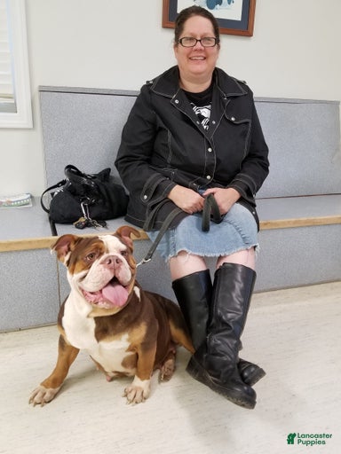 Gallery Image {{count}}