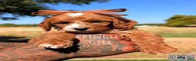 PRINGLES