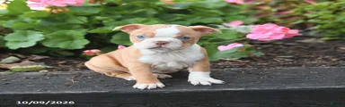 Lucy