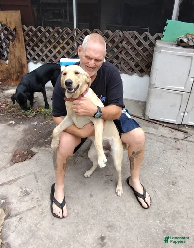 Gallery Image {{count}}