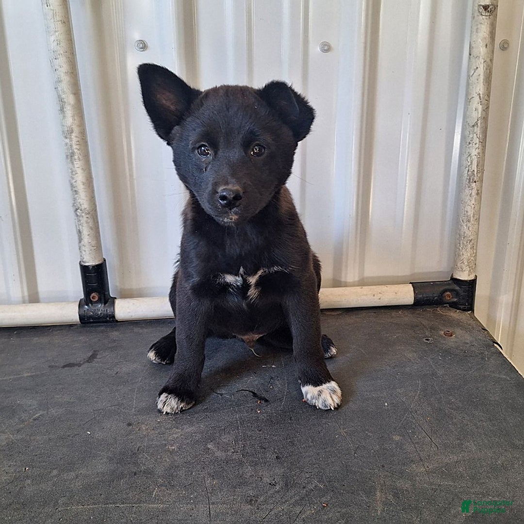 Gallery Image {{count}}