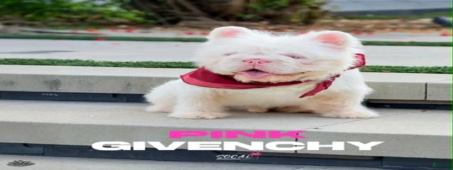 Pink Givenchy