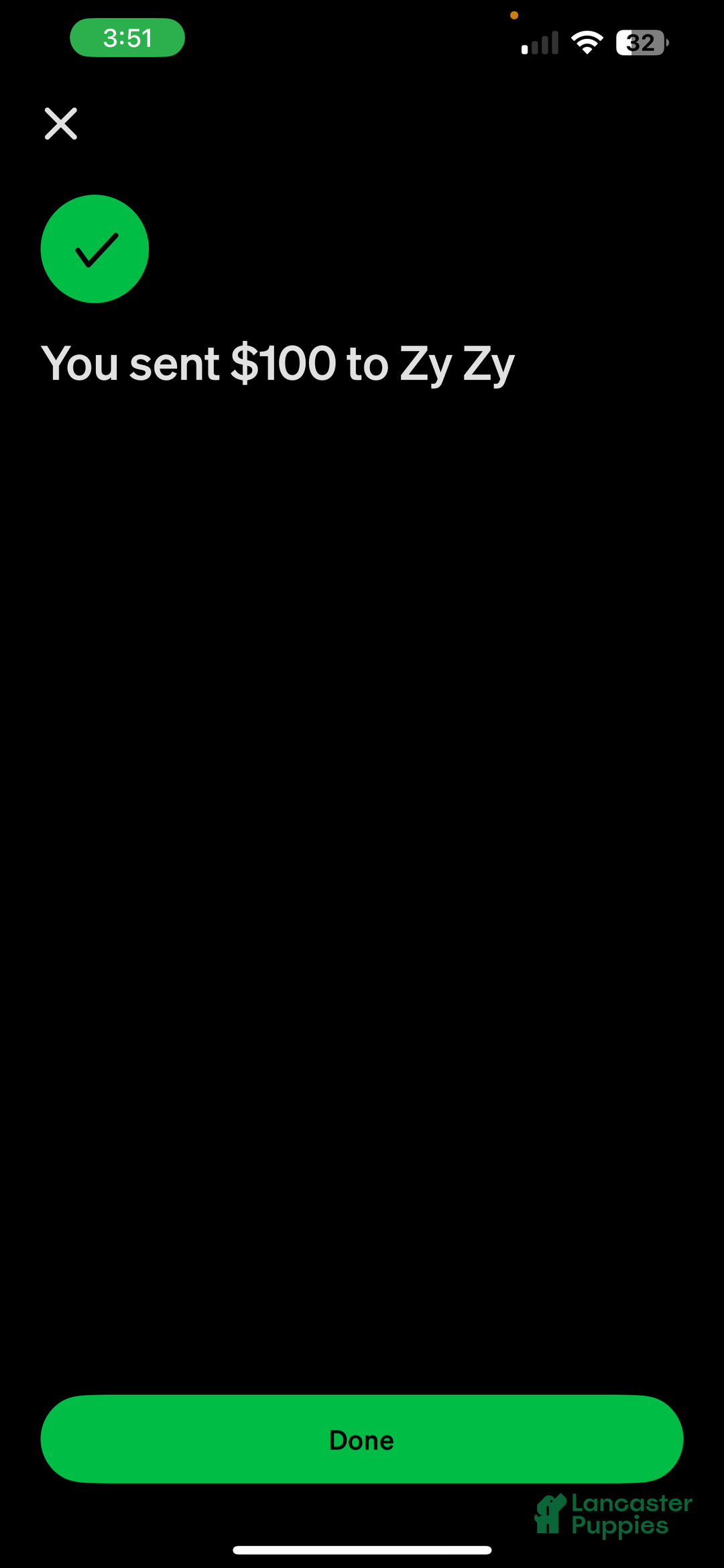 American Pit Bull Terrier dogs for sale: American Pit Bull Terrier Puppy 1 - Ad 2