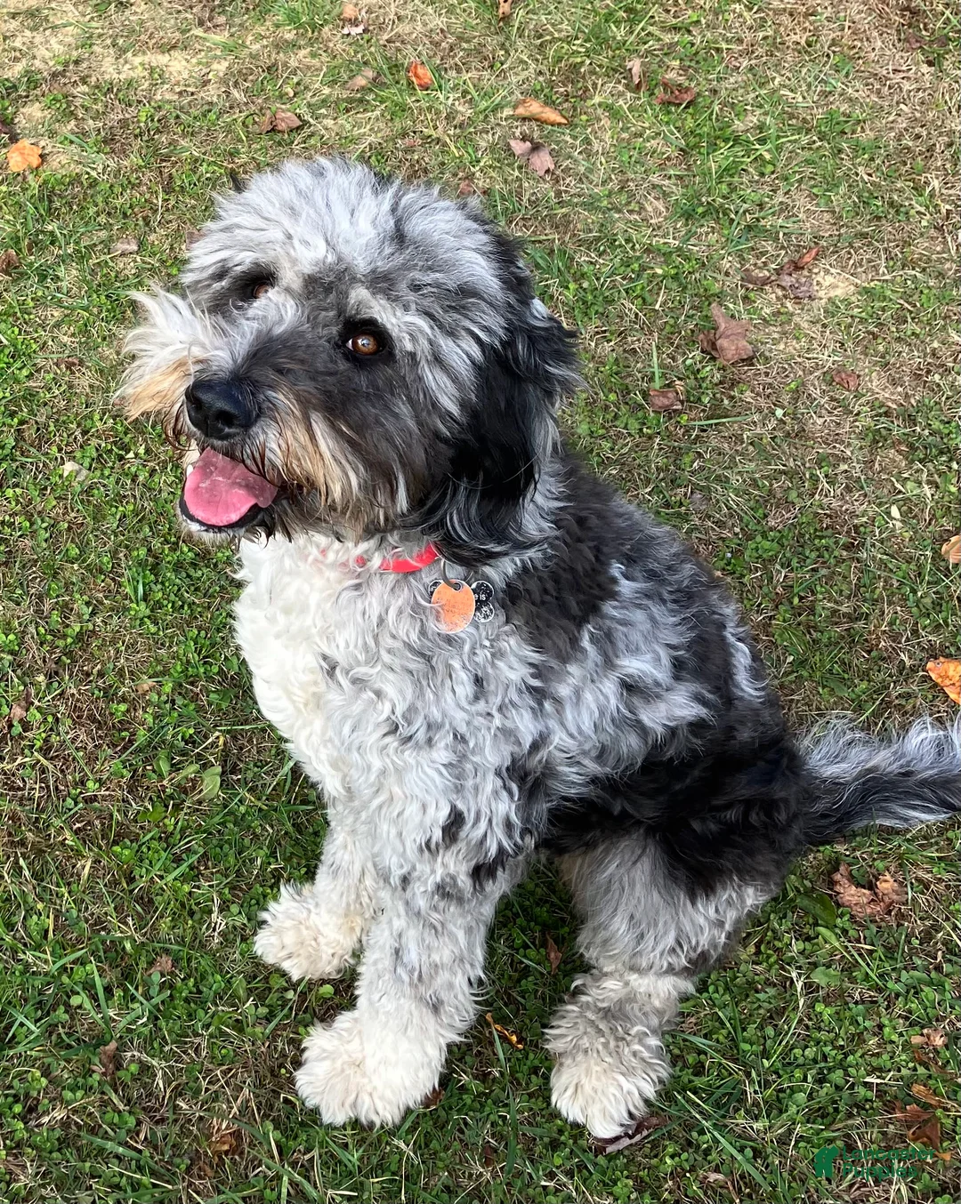 Gallery Image {{count}}