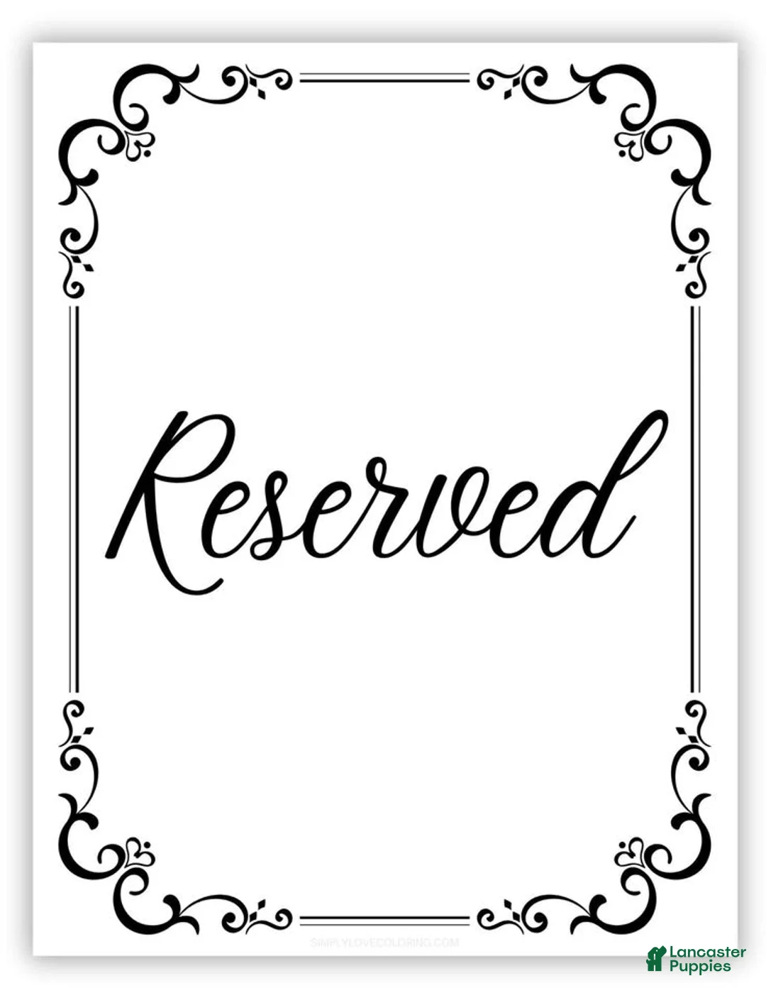 Mixed Breed dogs for sale: Elsa 💜 - Ad 1