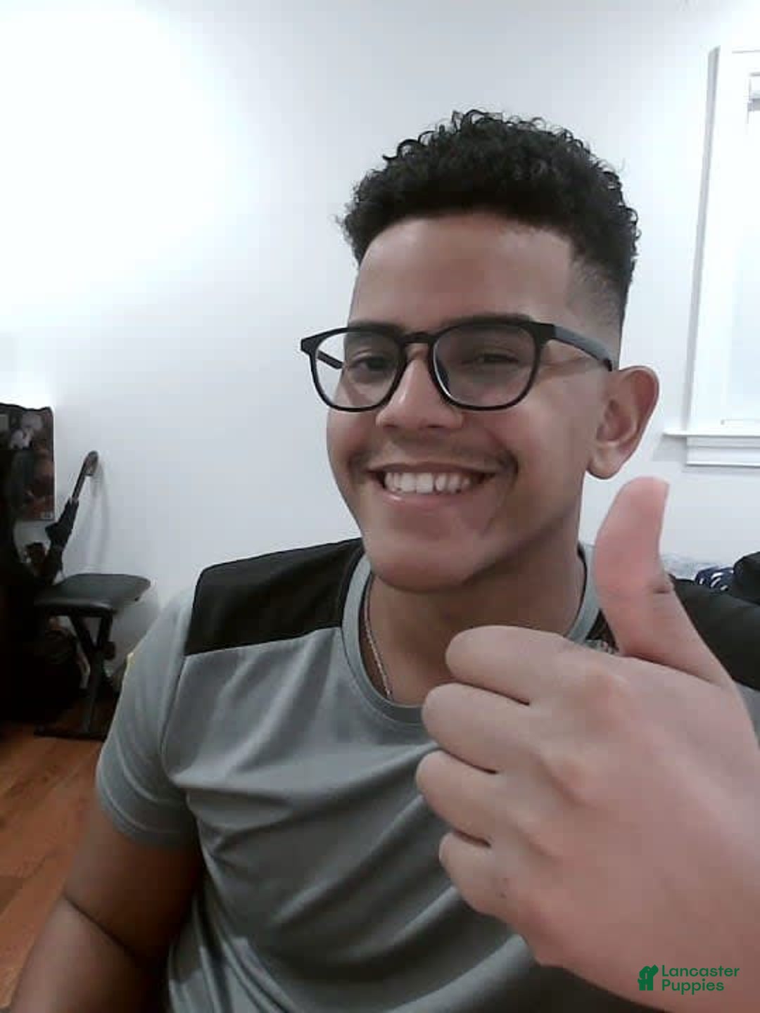 Gallery Image {{count}}