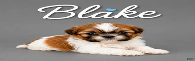 Blake