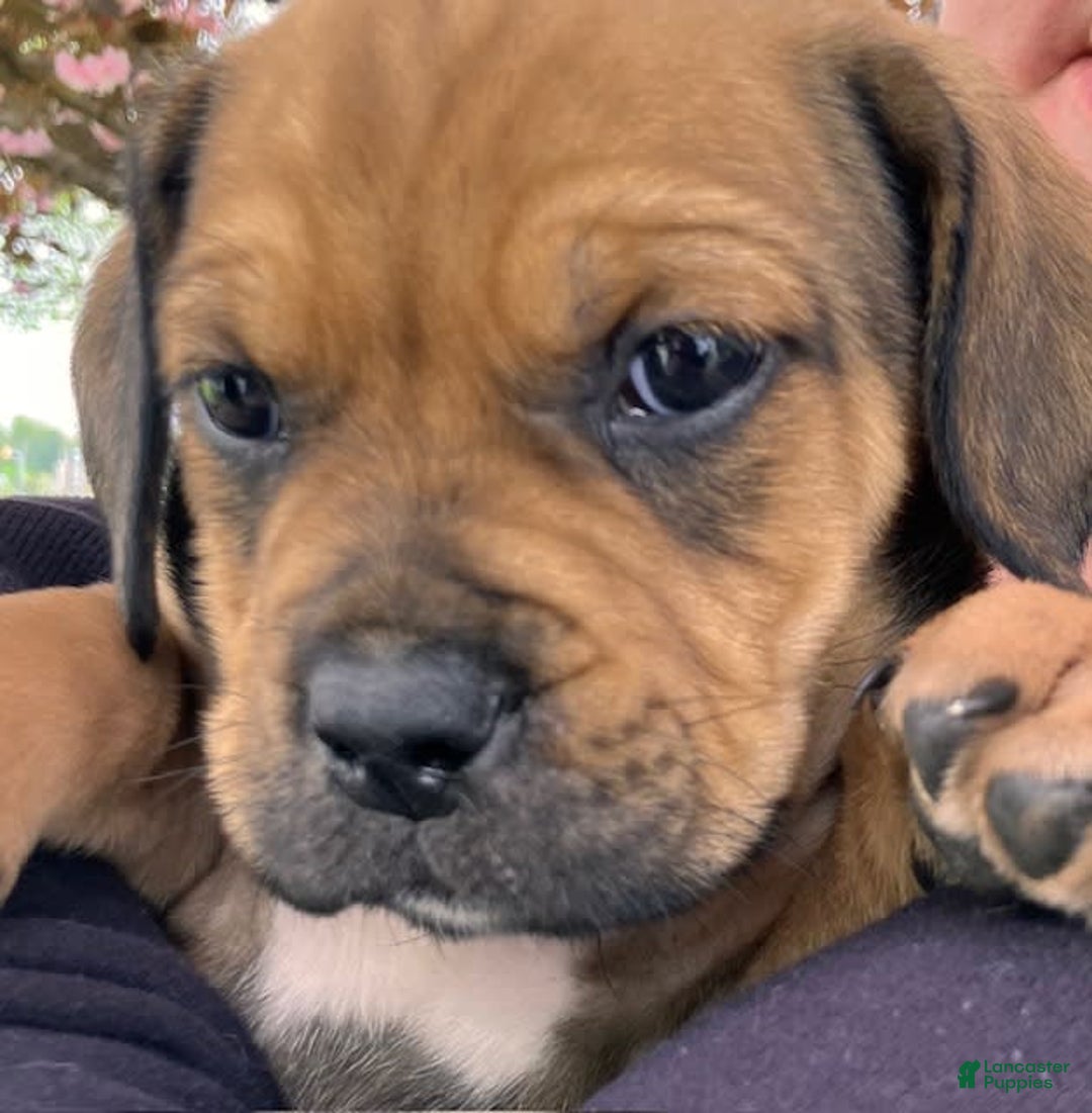 Gallery Image {{count}}