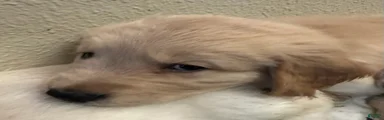 Boy 2