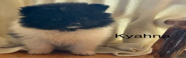 Kyana