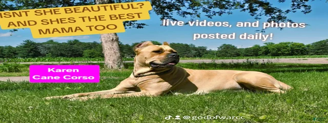 Karen