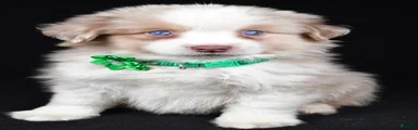 Delta