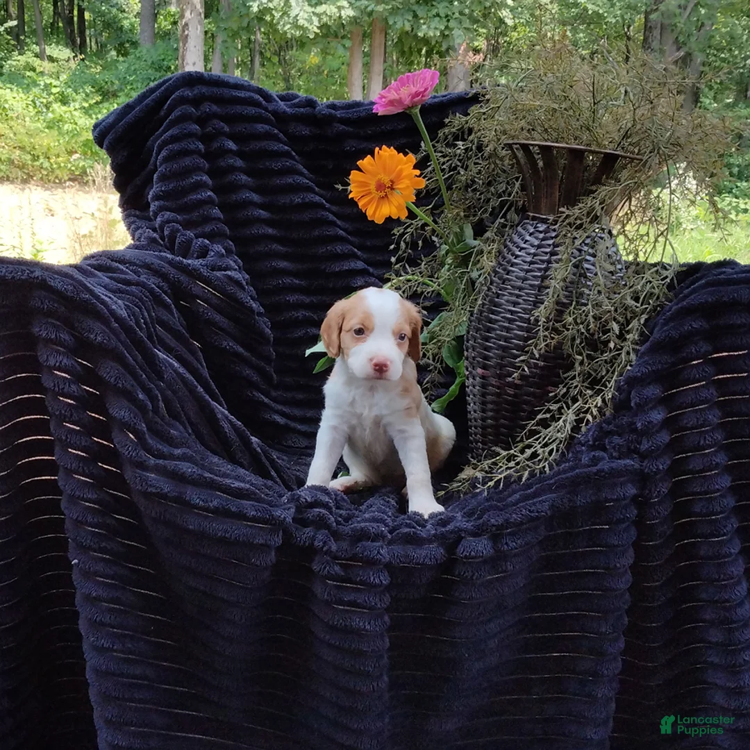 Gallery Image {{count}}