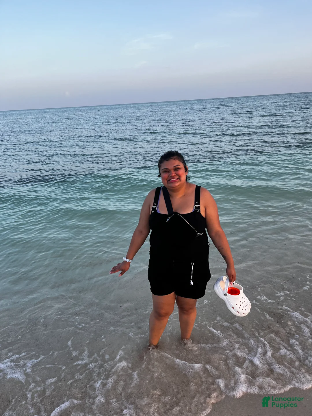 Gallery Image {{count}}