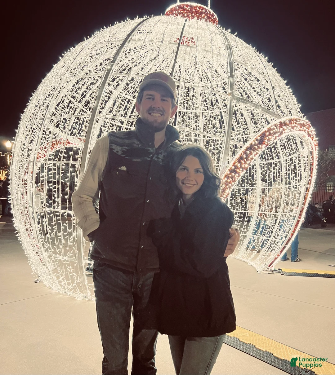 Gallery Image {{count}}