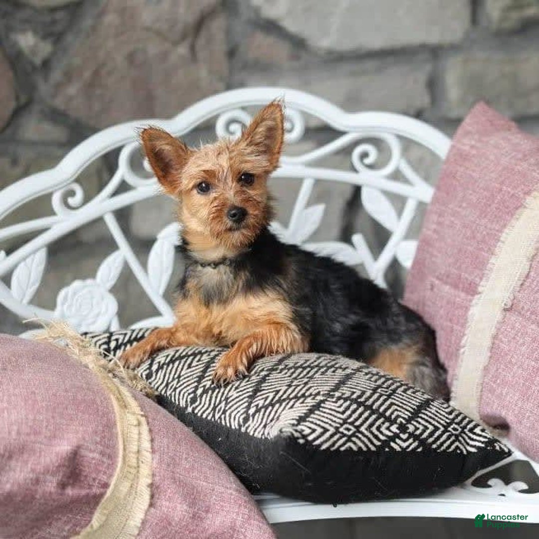 Gallery Image {{count}}