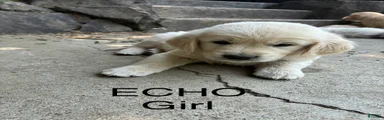 Echo