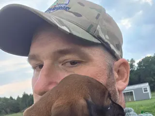 Other breed dogs Bavarian Mountain Scent Hound Green Male - Ad 10