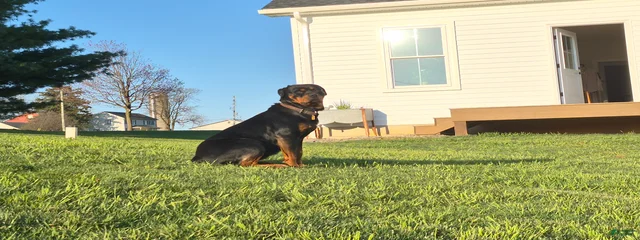 Molly