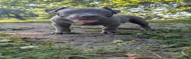 G4