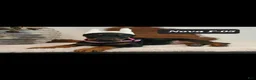 Doberman Pinscher dogs for sale: CANYON - Ad 9