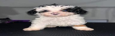 Benny