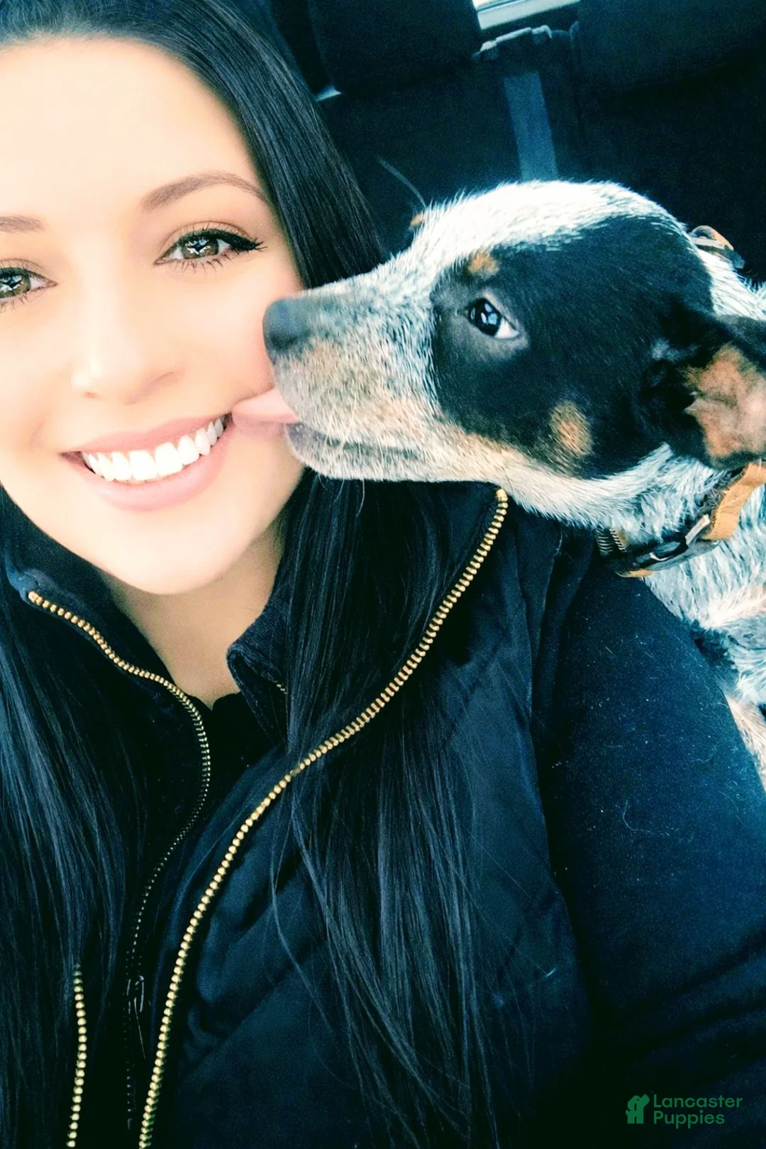 Gallery Image {{count}}