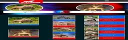 American Bully dogs for sale: American Bully 1 - Ad 3