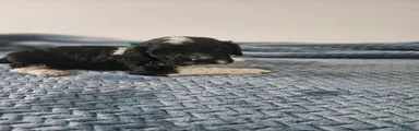 Bo