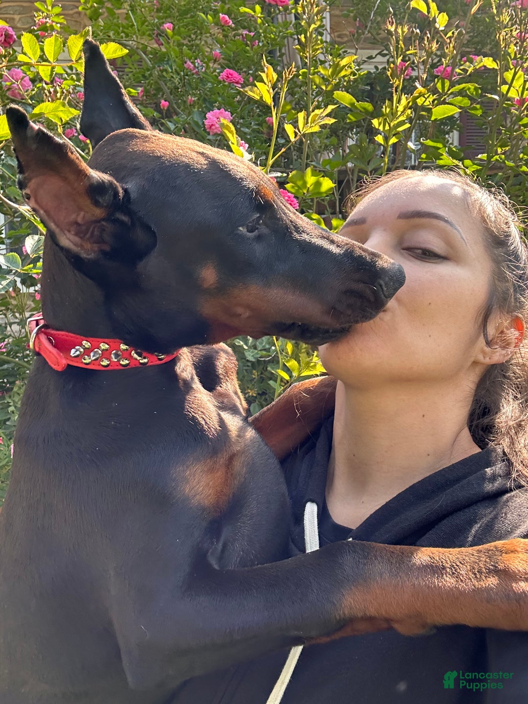 Gallery Image {{count}}