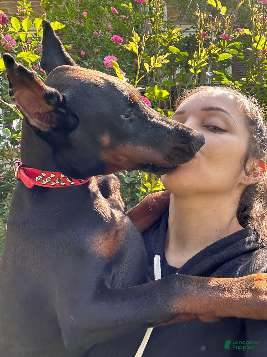 Gallery Image {{count}}