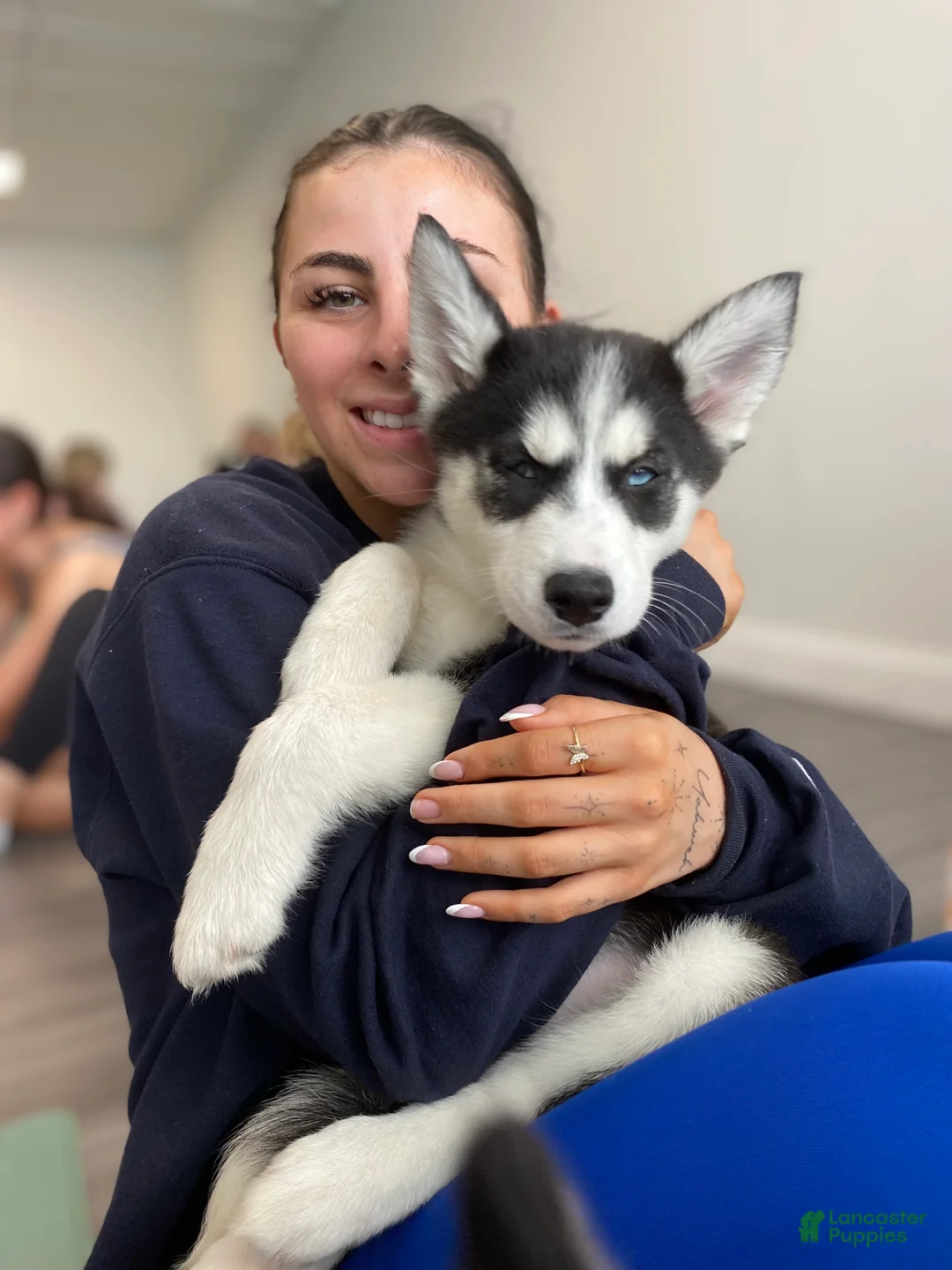 Siberian Husky dogs for sale: Princess - Ad 1