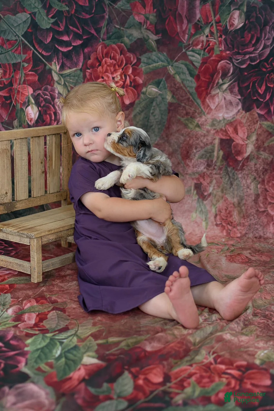 Gallery Image {{count}}