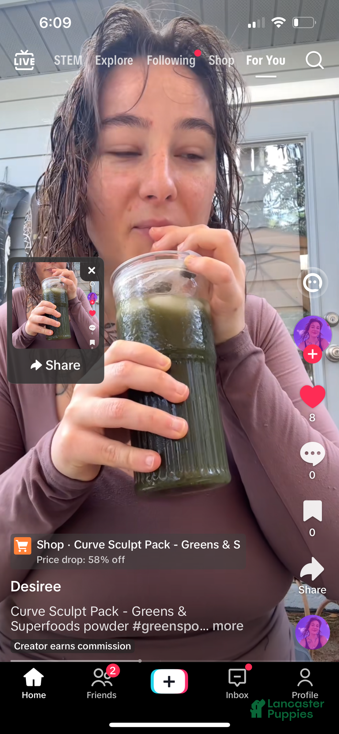 Goberian dogs for sale: Goberian Puppy 3 - Ad 4