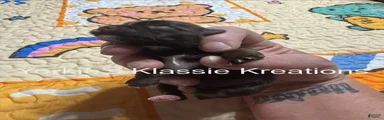 KLANSEY