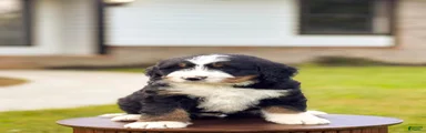 Frederick