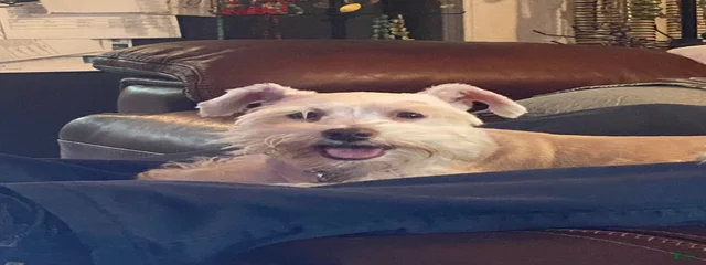 Fiona