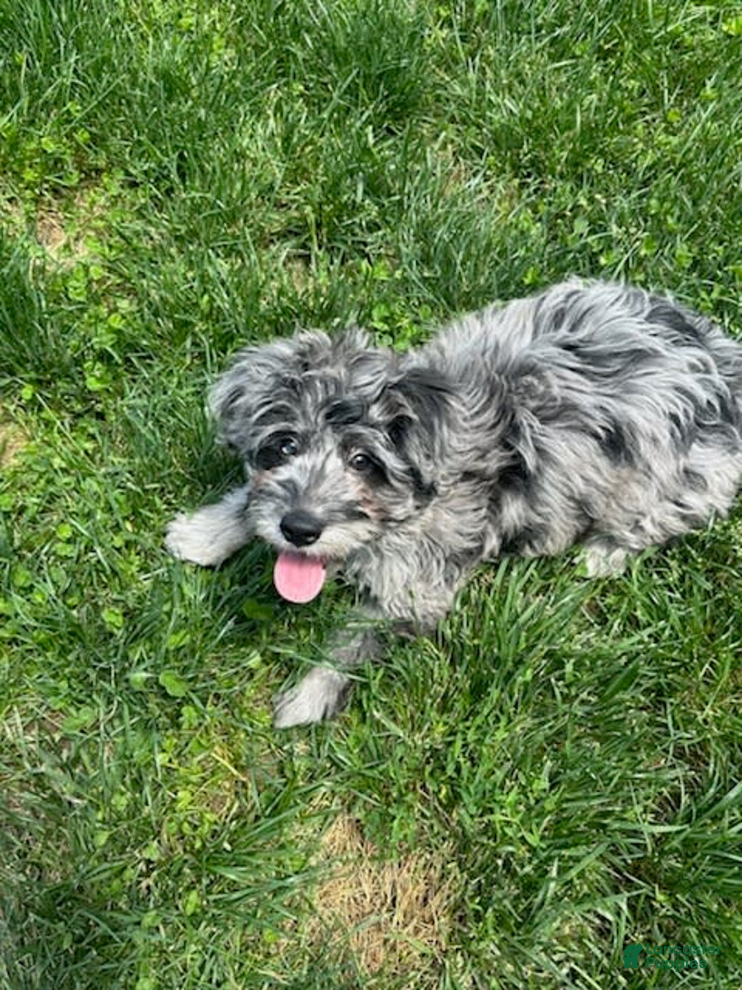 Gallery Image {{count}}