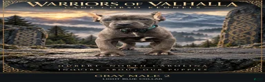 Gray Cane Corso Male 2