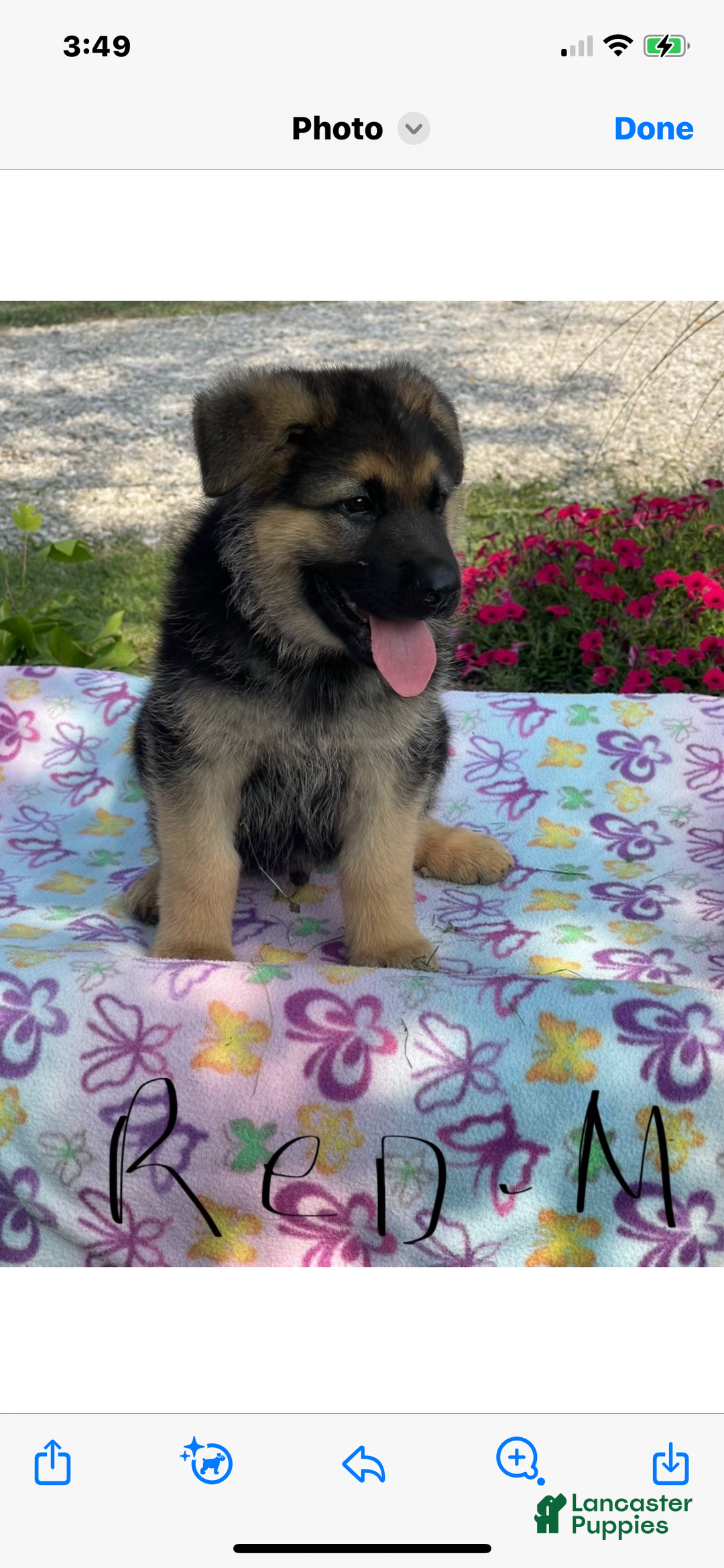 Gallery Image {{count}}