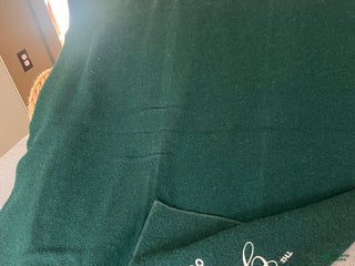 Greater Swiss Mountain Dog dogs Vera🐾❤️AKC Hip Cert🐾❤️Call 717-859-8731 - Ad 14