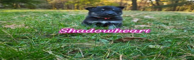 Shadowheart 
