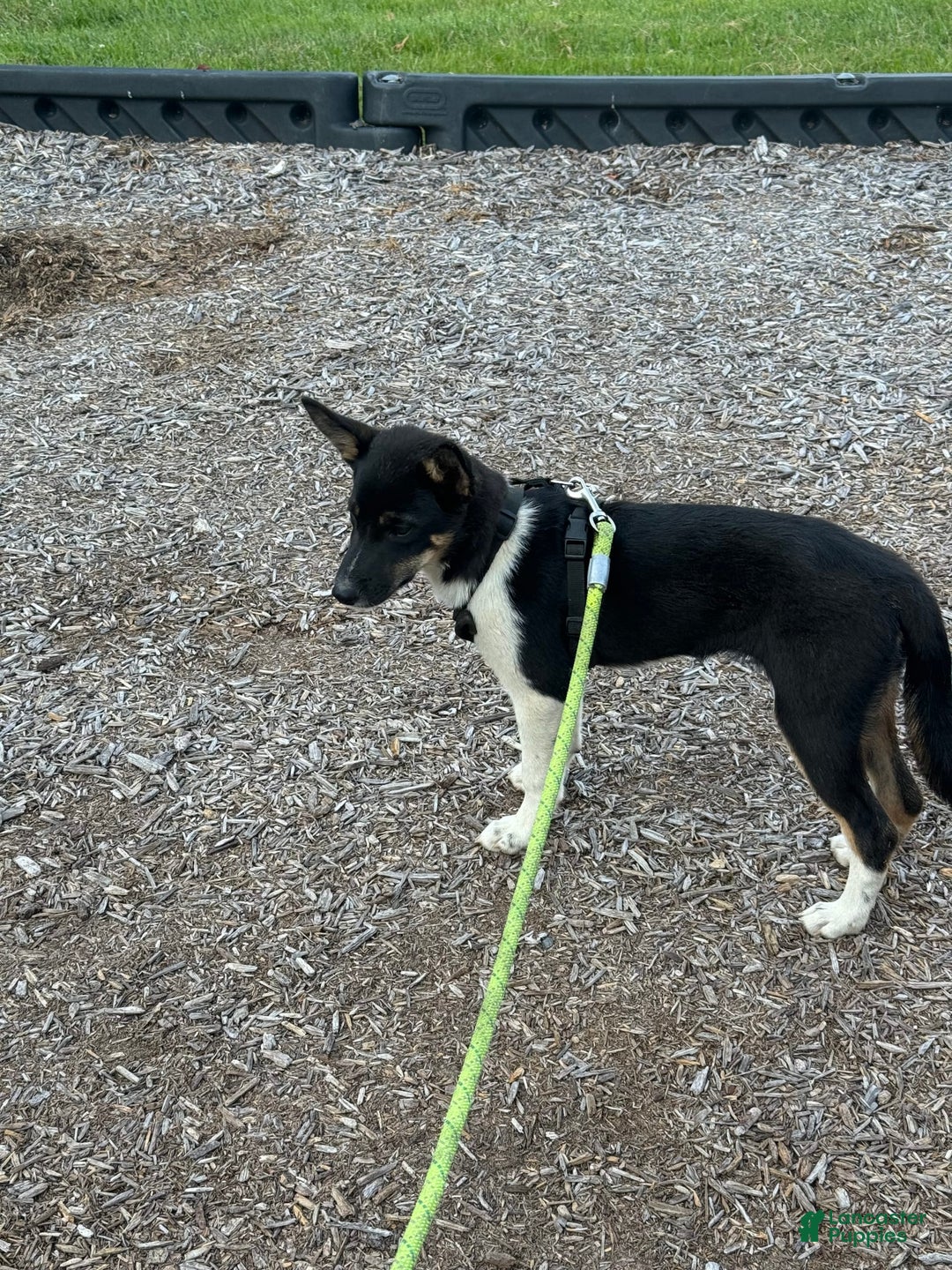 Gallery Image {{count}}