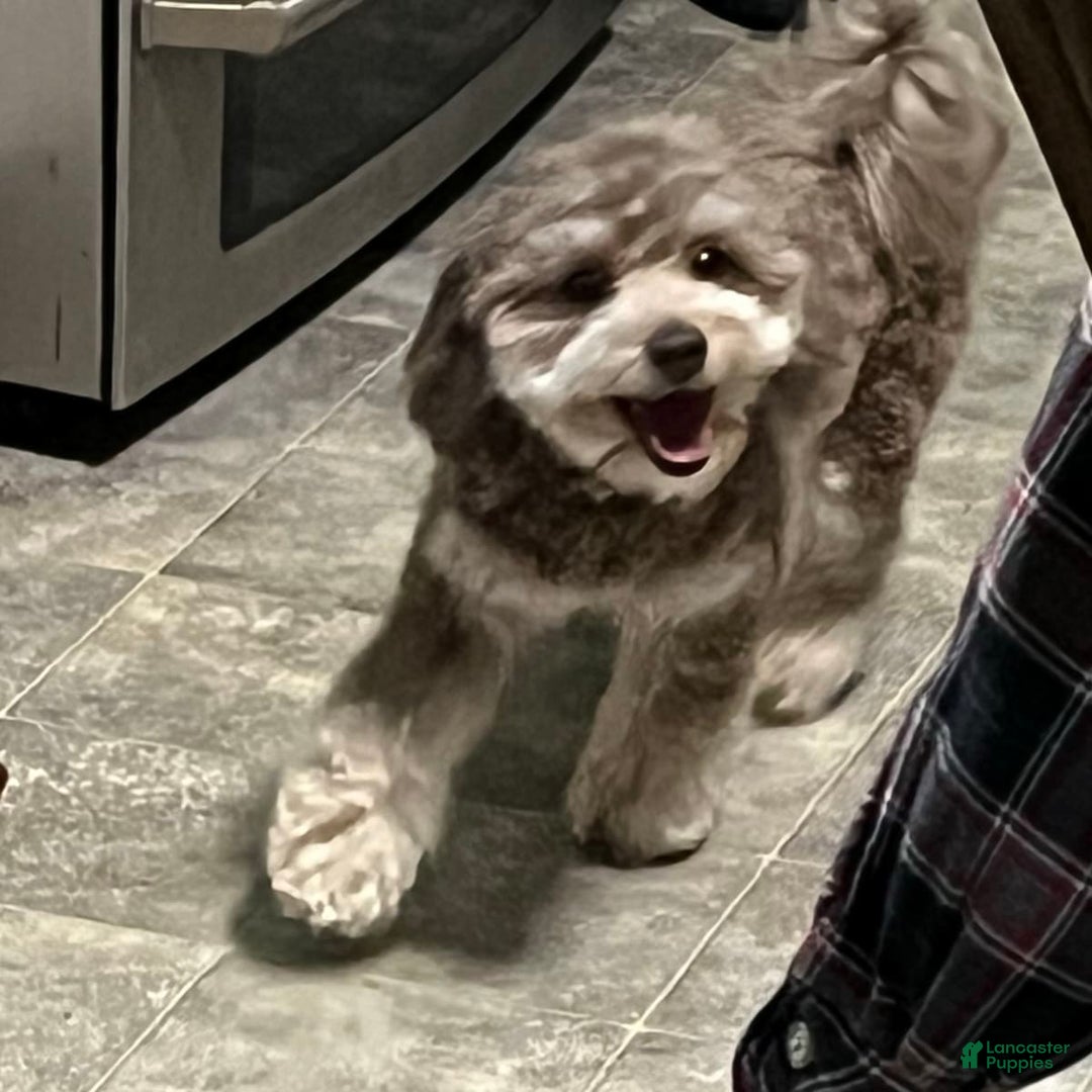 Gallery Image {{count}}