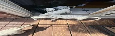 Salt