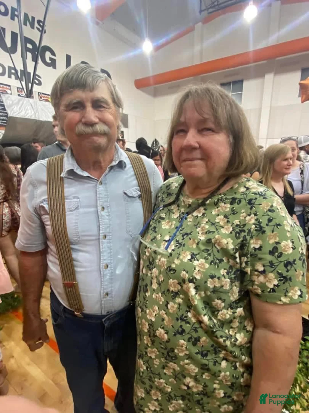 Gallery Image {{count}}